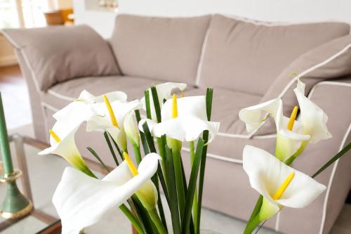 a vase filled with white flowers in front of a couch at Landhaus Gernitz in Seedorf
