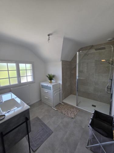 a bathroom with a shower and a sink at Les Perriers in Chambray-lès-Tours
