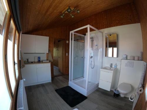 a bathroom with a shower and a toilet at Valley Apartment in Matten