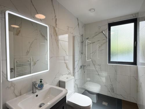 a bathroom with a sink and a toilet and a mirror at Property 525 - Galway in Moycullen