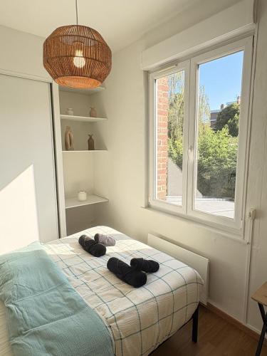 a bedroom with a bed with two pillows on it at Le COCON centre de Bethune in Béthune