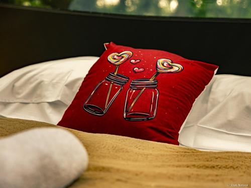 a red pillow on a bed with twooonsyss at Bulle forestière - Etat Nature in Magnières