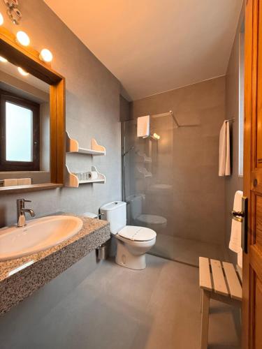 a bathroom with a toilet and a sink and a shower at Hotel Deth Pais in Salardú