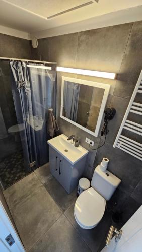 a bathroom with a toilet and a sink and a shower at ''Ābeļdārza māja'' in Āboliņi