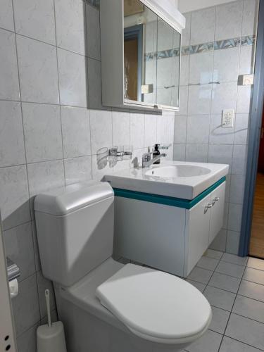 a white bathroom with a toilet and a sink at Res Roncaccio, Cancro by HolAp SA in Vairano