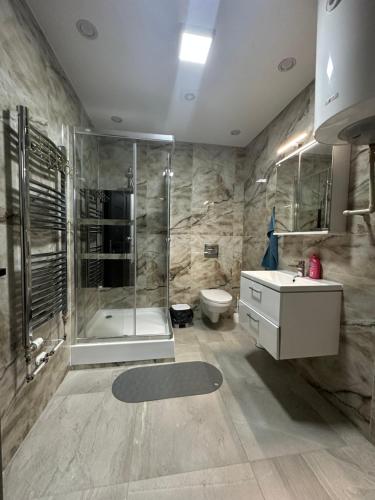 a bathroom with a shower and a toilet and a sink at Apartmány Tonny in Jáchymov