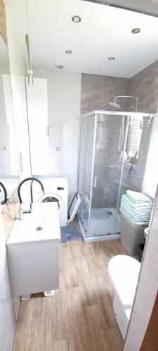 a bathroom with a shower and a sink and a toilet at Bacówka pod Ślężą in Sulistrowice
