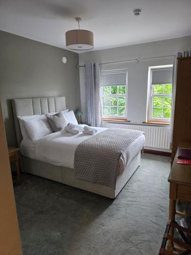 a bedroom with a large white bed with two windows at The Brook Lodge in Galway