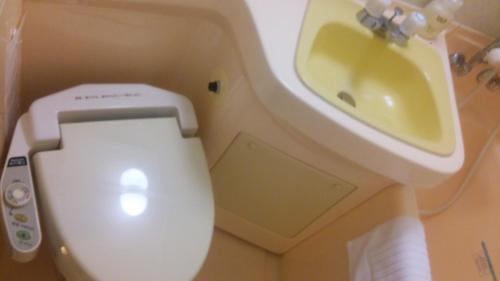 a bathroom with a white toilet and a sink at Hotel Crownhills Fukushima in Fukushima