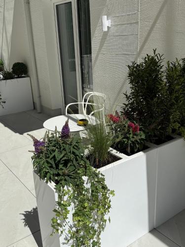a group of plants in white planters on a patio at Galerie Hotel in Bad Reichenhall