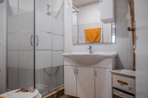 a bathroom with a sink and a shower at Guesthouse Mirjana in Premantura