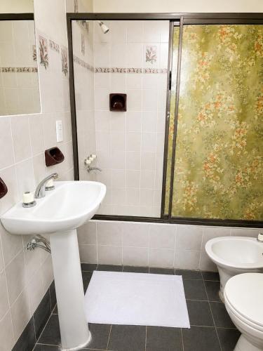 a bathroom with a sink and a shower at Miniloft Centrico in El Calafate