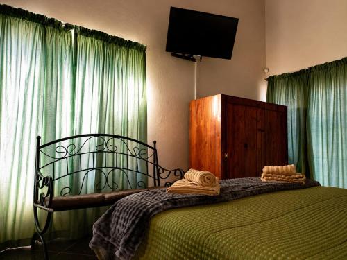 a bedroom with a bed with green curtains and a television at Les Clés de Parys in Parys