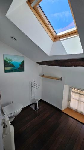a bathroom with a toilet and a skylight at Maison Corcovado in Paray-le-Monial
