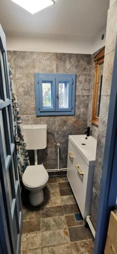 a bathroom with a toilet and a sink at iDILe in Râșca