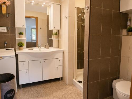 a bathroom with a sink and a shower and a toilet at Hisa pri Ovcicevih in Komen