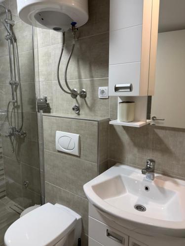 a bathroom with a sink and a shower and a toilet at Vivko apartmani 2 in Ostrovo