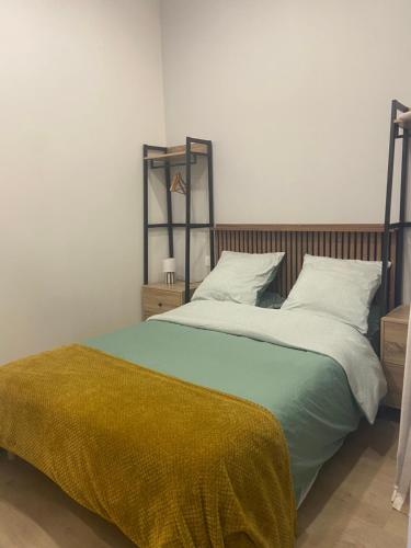 a bedroom with a bed with a green blanket at Lou Occitan- Appartement cosy centre Béziers in Béziers