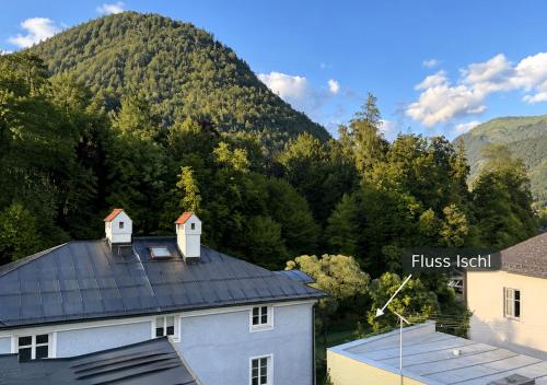 a view from the roof of a house with a mountain in the background at KAISERLICH WOHNEN zentral und am Fluss in Bad Ischl