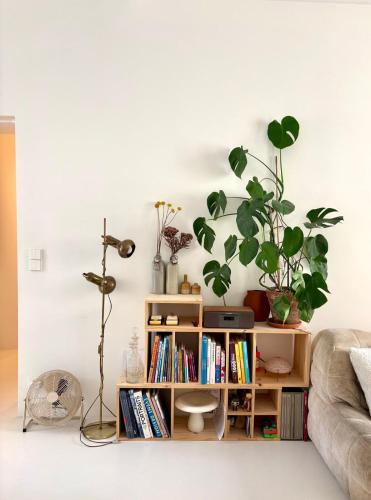 Design & cool appartement