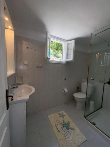 a bathroom with a sink and a toilet and a shower at AMYGDALIA in Vlachopoulátika