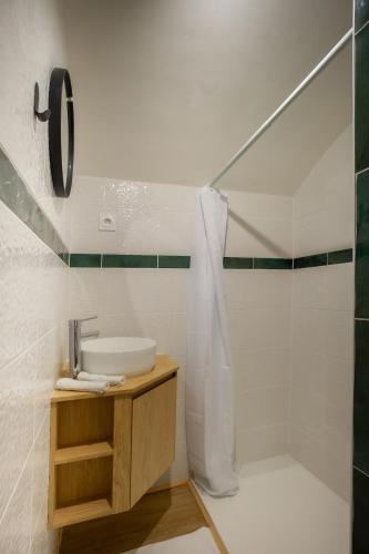 a bathroom with a sink and a shower at Le Cocon Vouté, air-conditioned in Saint-Laurent-des-Arbres