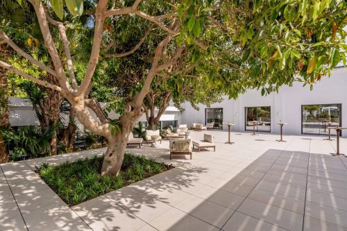 Kimpton Los Monteros Marbella by IHG photo 219