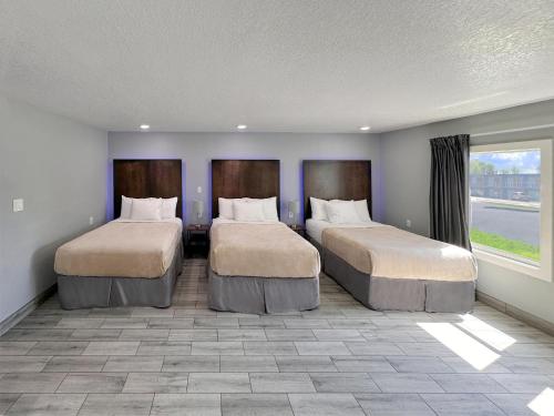 Celebration Suites photo 89