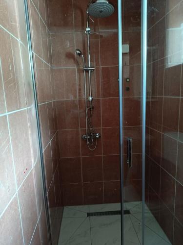 a shower with a glass door in a bathroom at Studio apartmani AHUS in Petrovac na Moru