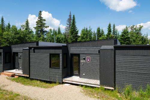 a row of black modular homes in a field at Les Refuges du Massif de Charlevoix in Petite-Rivière-Saint-François