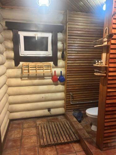 a bathroom with a toilet and a tv on the wall at Log House Savin in Savin