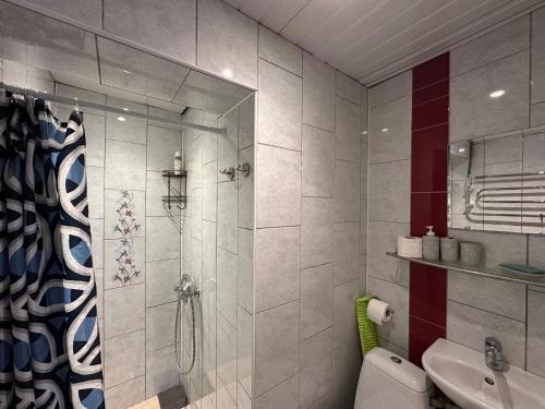a bathroom with a shower and a toilet and a sink at Magdelena in Palanga