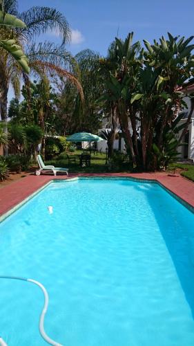 a large blue swimming pool in a yard with palm trees at Innisfree Apartments in Gaborone