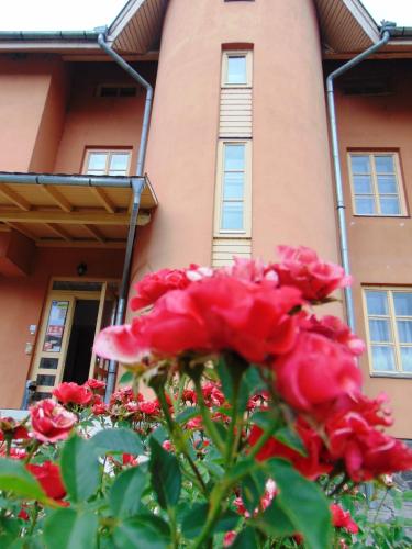 a bunch of red roses in front of a building at Pensiunea Praid - Parajd Panzió in Praid