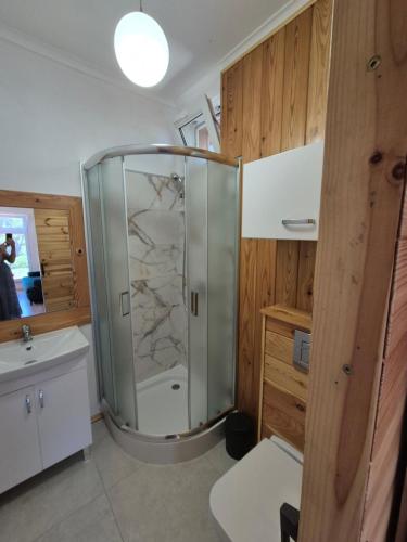 a bathroom with a shower and a sink at Pod lasem domek letniskowy in Susiec