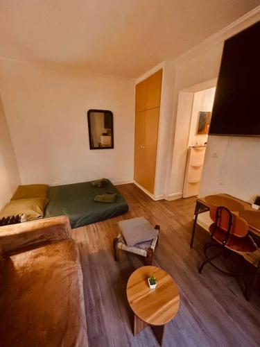 Cosy studio Cinéma Paris 12 Gare de Lyon