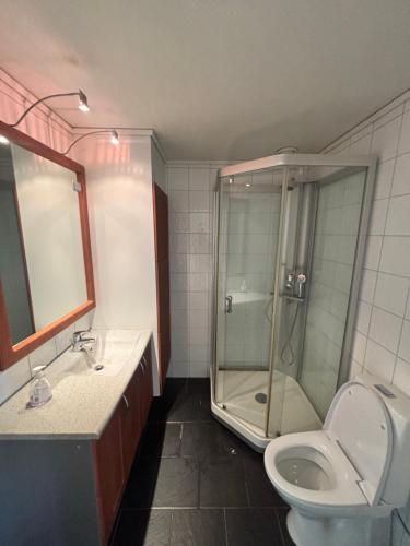 a bathroom with a shower and a toilet and a sink at Røldal Overnatting in Røldal
