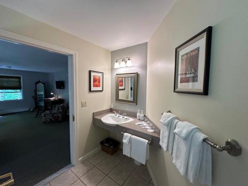 a bathroom with a sink and a mirror at OneSixtyFive, The Inn on Park Row in Brunswick