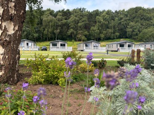 a garden with purple flowers in front of white cottages at Cedar Lodge 3 Bedrooms with hot tub in Northwich