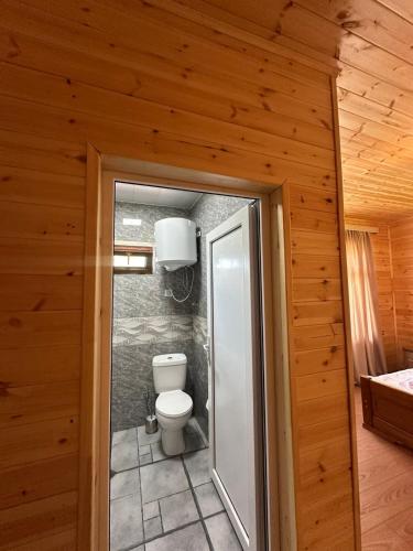 a bathroom with a toilet in a wooden wall at Ivlita in Mestia