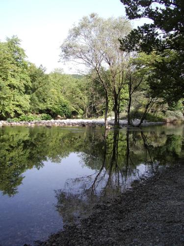 a body of water with trees on the shore at Guesthouse Ioannidis in Papigko