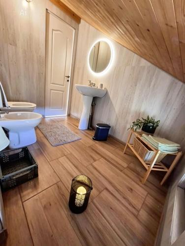 a bathroom with a sink and a toilet in a room at Casa Noastra in Drajna de Sus