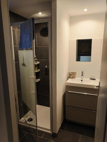 a bathroom with a shower and a sink at Le Cigalou - Drôme Provencale in Sainte-Jalle