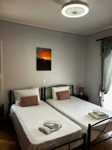 two beds sitting next to each other in a room at Iliovasilema in Vathý
