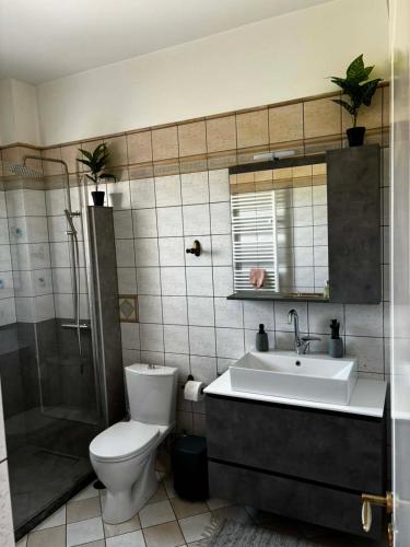 a bathroom with a toilet and a sink and a shower at Iliovasilema in Vathý