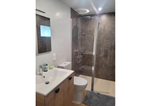 a bathroom with a shower and a toilet and a sink at Le Petit Logis in Beaurepaire