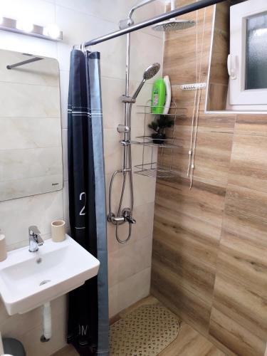 a bathroom with a shower and a sink at Mila Apartment in Skopje