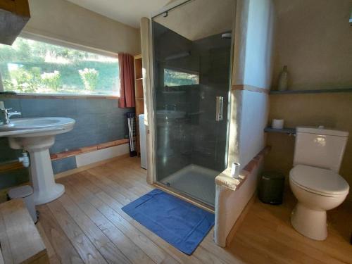 a bathroom with a shower and a toilet and a sink at La Maisonnette Veyronne - Gîte neuf in Aubres