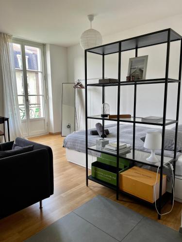 a room with a bed and a black book shelf at Luxury Apartment in Central Geneva in Geneva