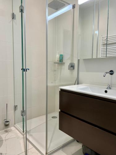 a bathroom with a glass shower and a sink at Luxury Apartment in Central Geneva in Geneva